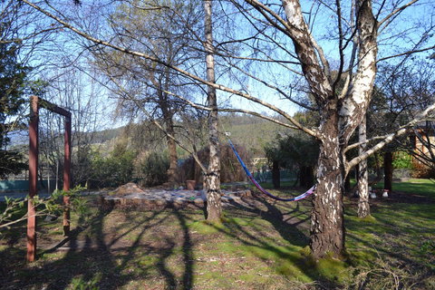 Whispering Spirit Holiday Cottages & Mini Ponies - Accommodation Port Hedland 11