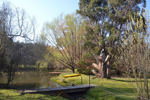 Whispering Spirit Holiday Cottages & Mini Ponies - Accommodation Port Hedland 12