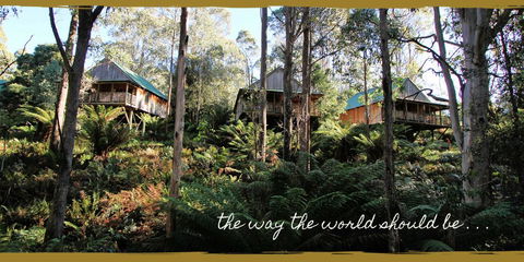 Lemonthyme Wilderness Retreat - Accommodation Port Hedland 20