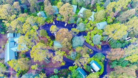 Lemonthyme Wilderness Retreat - Accommodation Port Hedland 1