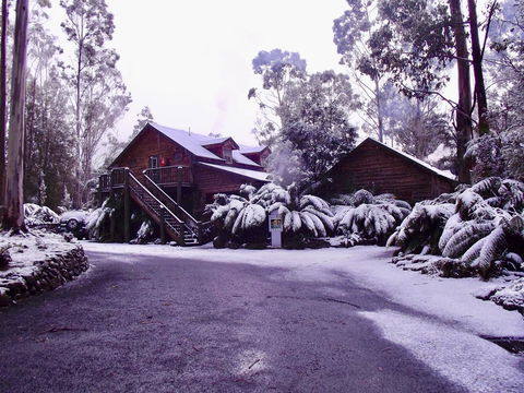 Lemonthyme Wilderness Retreat - Accommodation Port Hedland 12