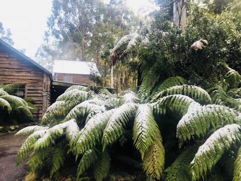 Lemonthyme Wilderness Retreat - Accommodation Port Hedland 5