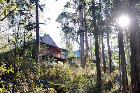Lemonthyme Wilderness Retreat - Accommodation Port Hedland 25