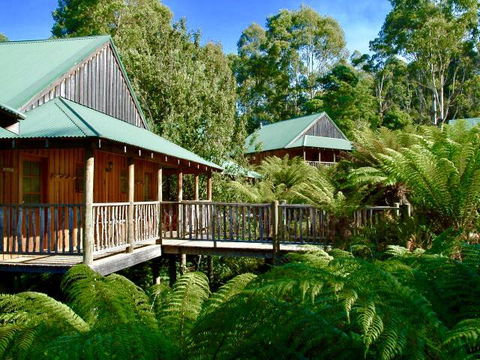 Lemonthyme Wilderness Retreat - Accommodation Port Hedland 11
