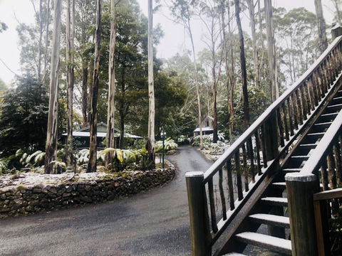 Lemonthyme Wilderness Retreat - Accommodation Port Hedland 15