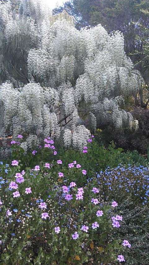 Beezneez B&B - Accommodation Port Hedland 15