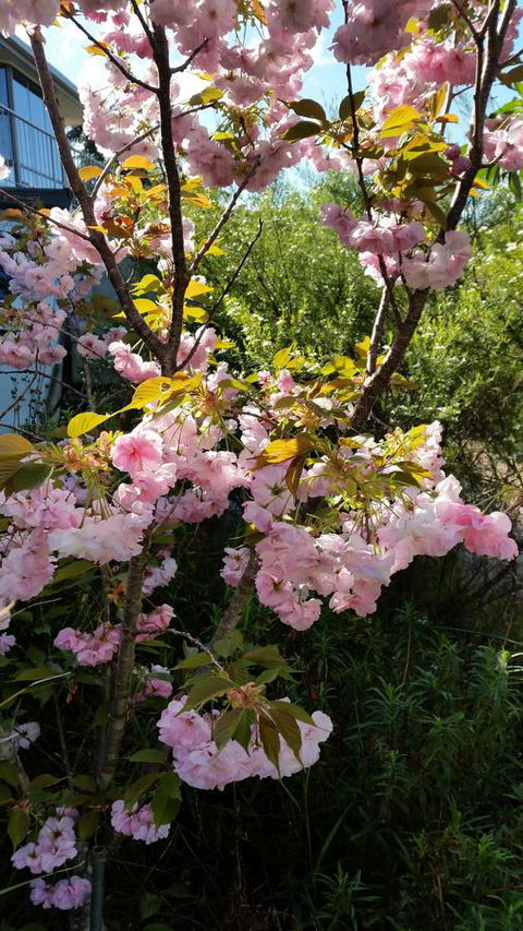 Beezneez B&B - Accommodation Port Hedland 14