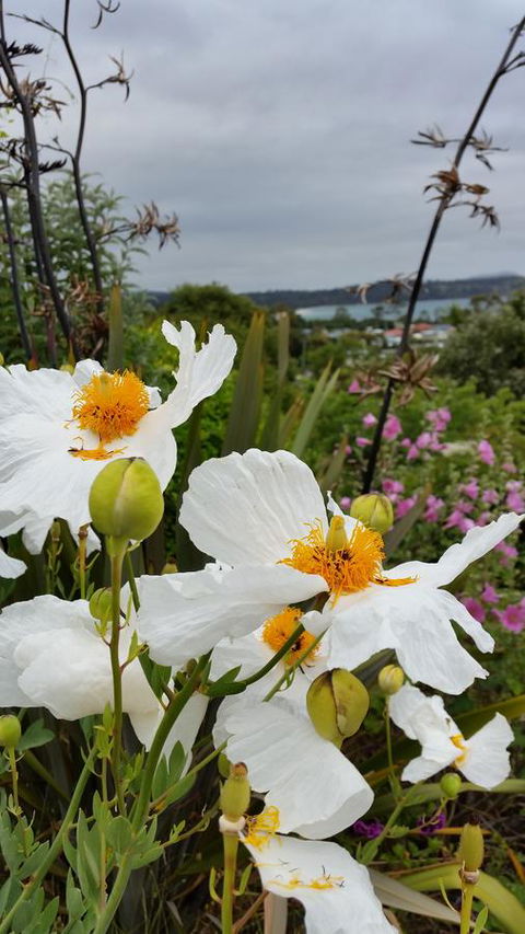 Beezneez B&B - Accommodation Port Hedland 13