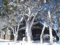 Book Dinner Plain Accommodation Vacations Accommodation Port Hedland Accommodation Port Hedland