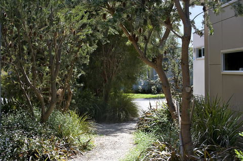 BIG4 Ingenia Holidays Queenscliff Beacon - Accommodation Port Hedland 13