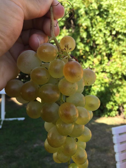 Campbell St Lodge - Accommodation Port Hedland 9