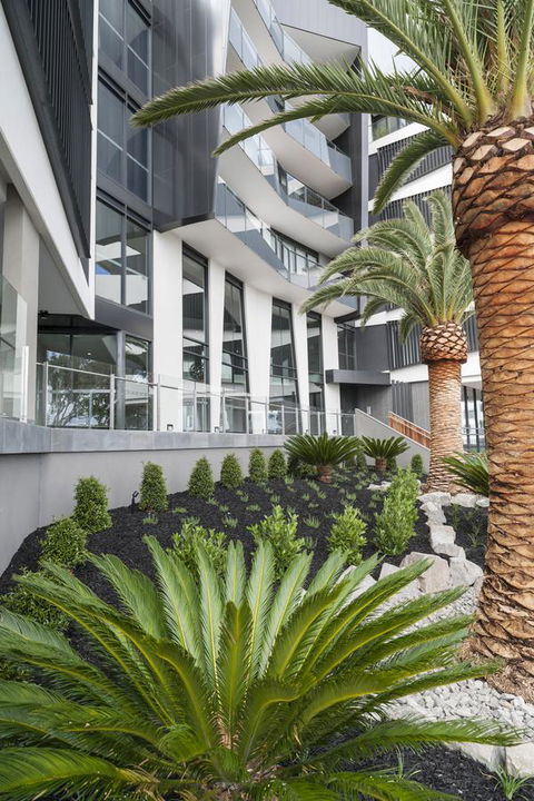 Caroline Serviced Apartments Sandringham - Accommodation Port Hedland 3