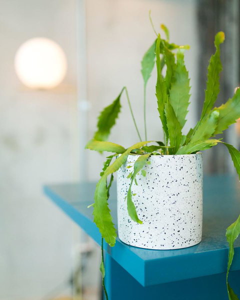 Sage Melbourne Ringwood - Accommodation Port Hedland 36