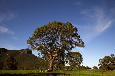 Dunkeld Studio Accommodation - Accommodation Port Hedland 23