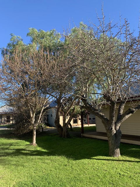 Dunkeld Studio Accommodation - Accommodation Port Hedland 4