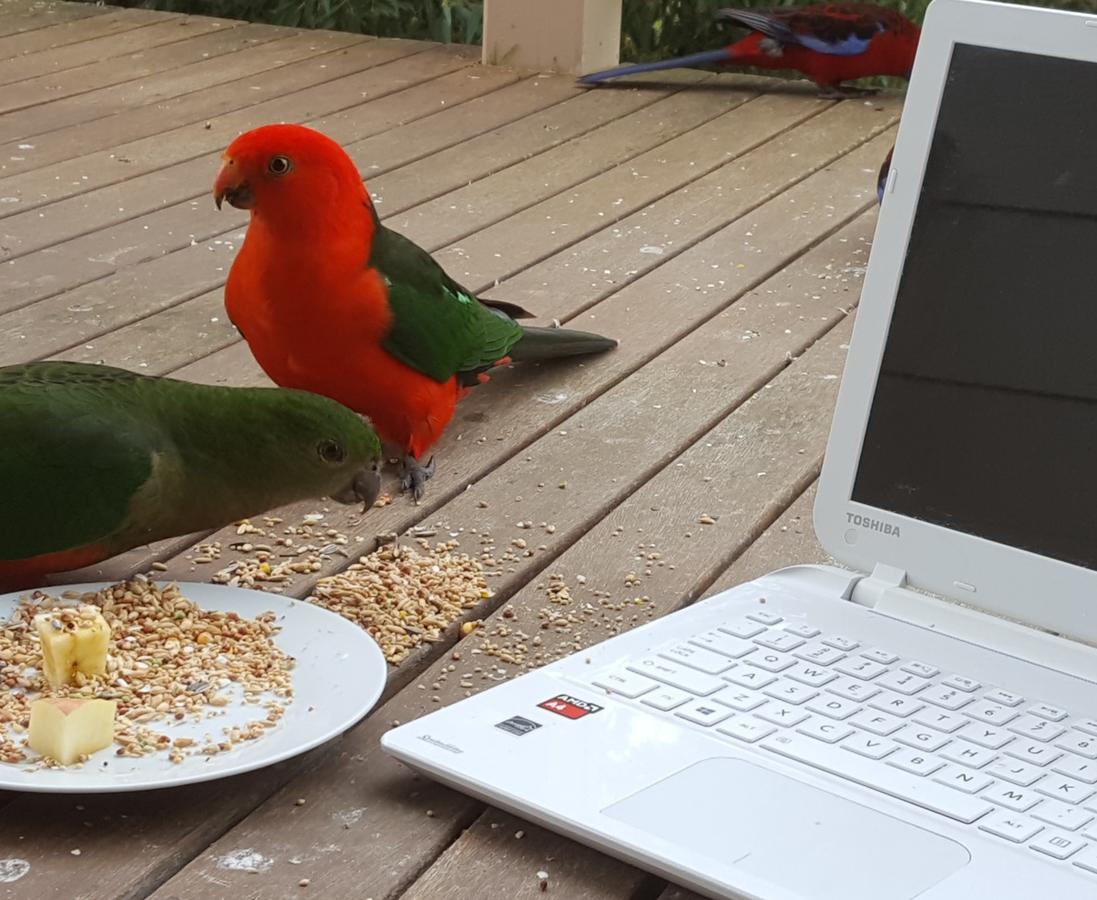 Accommodation Port Hedland