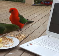 Wilsons Promontory Motel - Accommodation Port Hedland