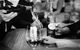Balgownie Estate Yarra Valley - thumb 31
