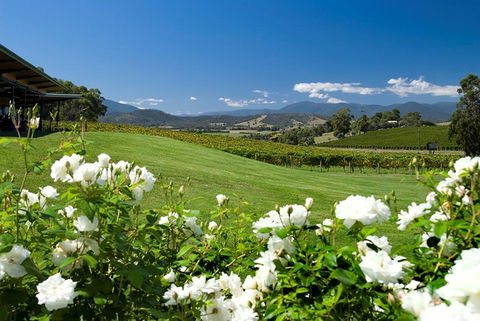 Balgownie Estate Yarra Valley - Accommodation Port Hedland 36