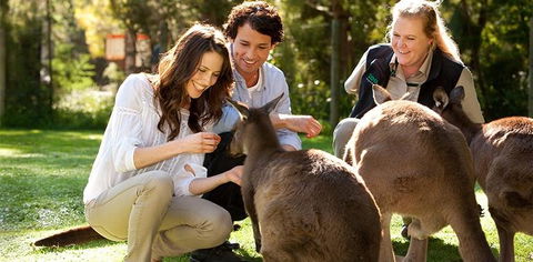 Balgownie Estate Yarra Valley - Accommodation Port Hedland 10