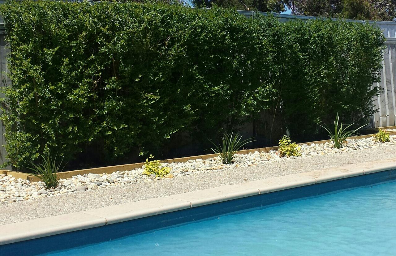 Robinvale VIC Accommodation Port Hedland