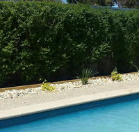 Robinvale Bridge Motel - Accommodation Port Hedland