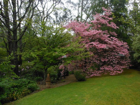 Merrimeet Cottages - Accommodation Port Hedland 23
