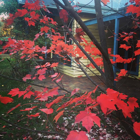 The Orchard House - Accommodation Port Hedland 27