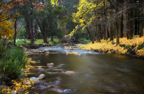 Goldfield Holiday Units - Accommodation Port Hedland 0