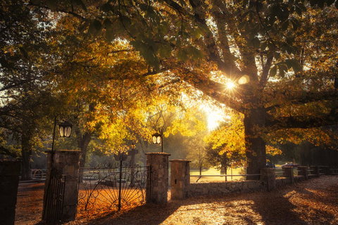 Goldfield Holiday Units - Accommodation Port Hedland 20