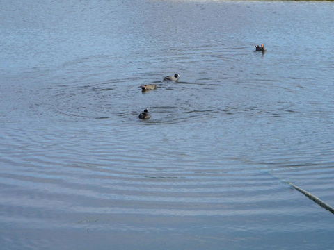 De\'Vine Escape - Accommodation Port Hedland 21