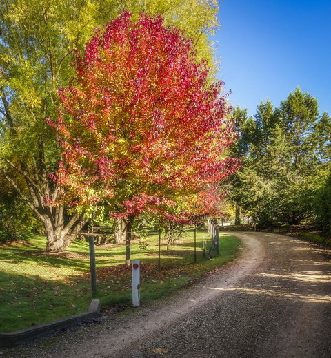 Bright Mystic Valley - Accommodation Port Hedland 23