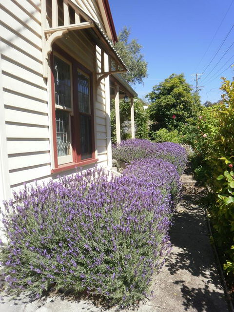 Miss Pym's Cottage - Accommodation Port Hedland 44