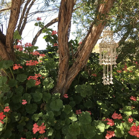 The Fingal Farm - Accommodation Port Hedland 27