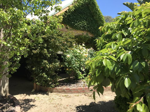 The Fingal Farm - Accommodation Port Hedland 34