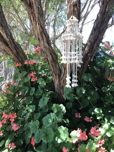 The Fingal Farm - Accommodation Port Hedland 10