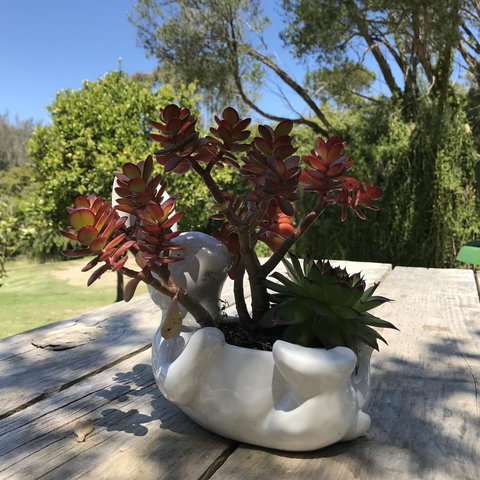 The Fingal Farm - Accommodation Port Hedland 30