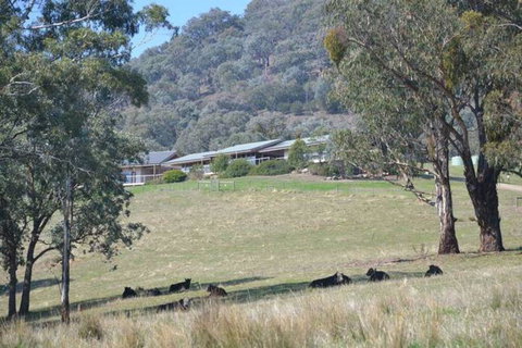 The Homestead At Holmeslgen At Eildon - Accommodation Port Hedland 1