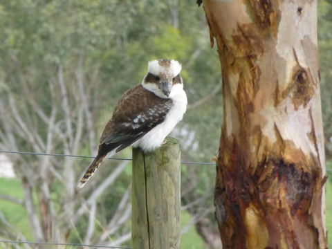 The Little House On The Hill - Accommodation Port Hedland 1