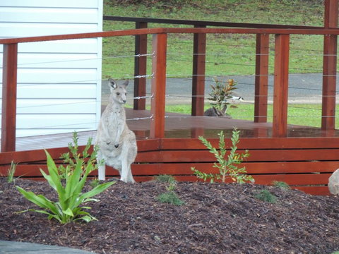 The Pouch B & B - Accommodation Port Hedland 1