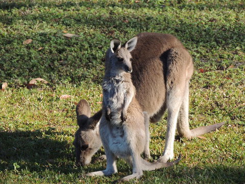 The Pouch B & B - Accommodation Port Hedland 2