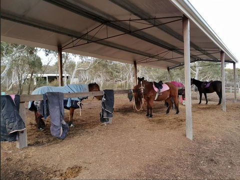 The Saddle Camp Tiny House, Braidwood - Accommodation Port Hedland 1