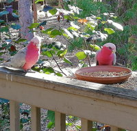 The Treehouse In Dawesville