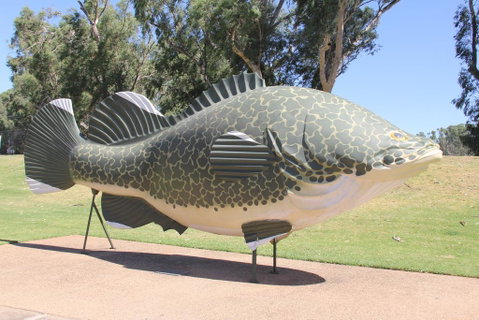 Tocumwal Hotel Motel (The Palms) - Accommodation Port Hedland 1