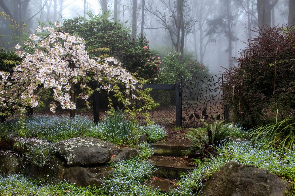 Mount Tomah NSW Accommodation Port Hedland