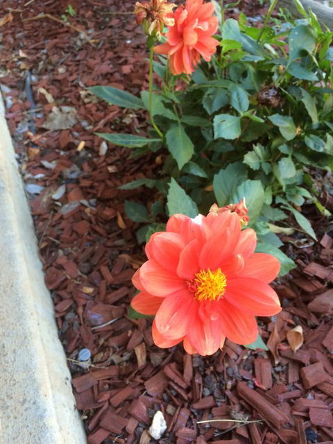 Tumut Valley Motel - Accommodation Port Hedland 1