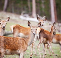 Villa Cervi Property - Accommodation Port Hedland