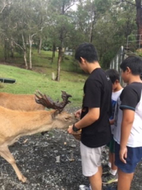 Villa Cervi Property - Accommodation Port Hedland 3