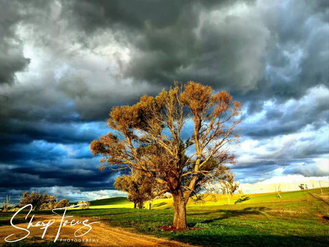 Wantana Cottage Farmstay - Accommodation Port Hedland 2