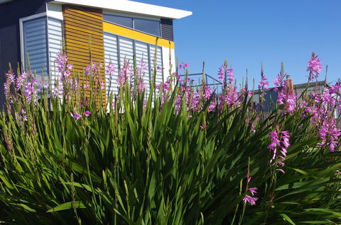 Watercolours - Accommodation Port Hedland 1